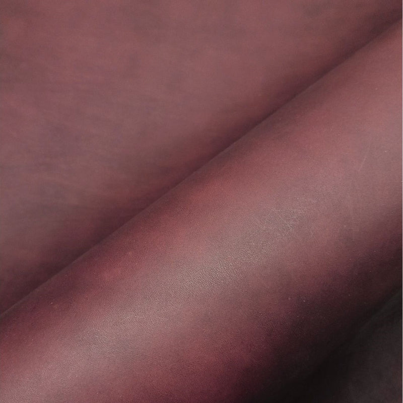 Le petit Mauve